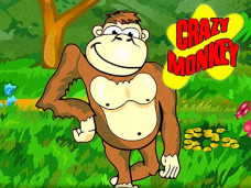 Crazy Monkey Free Slot